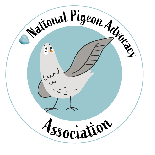 Logo of the National Pigeon Advocacy Association with a pigeon illustration on a light blue background.