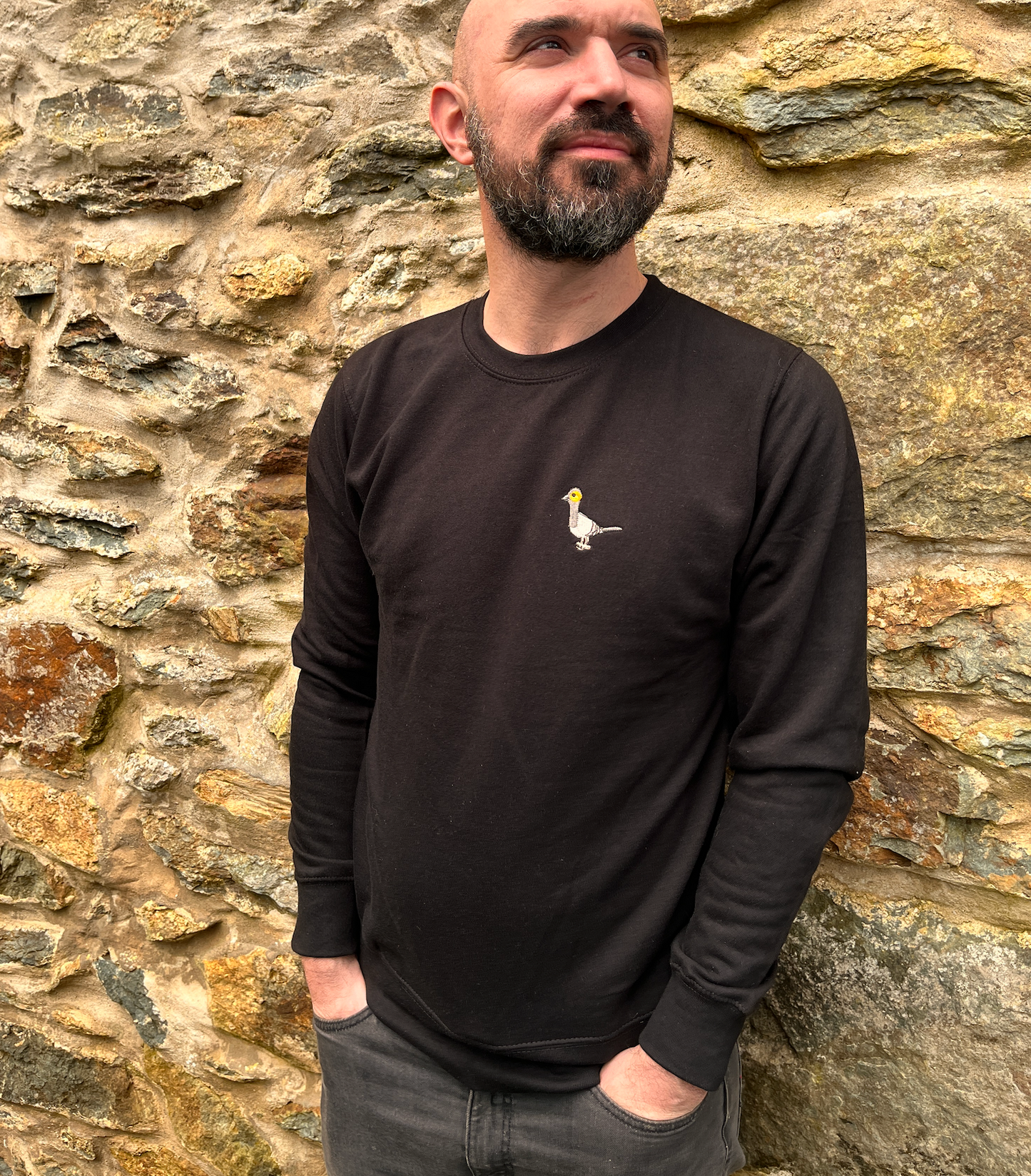 Embroidered Pigeon sweatshirt