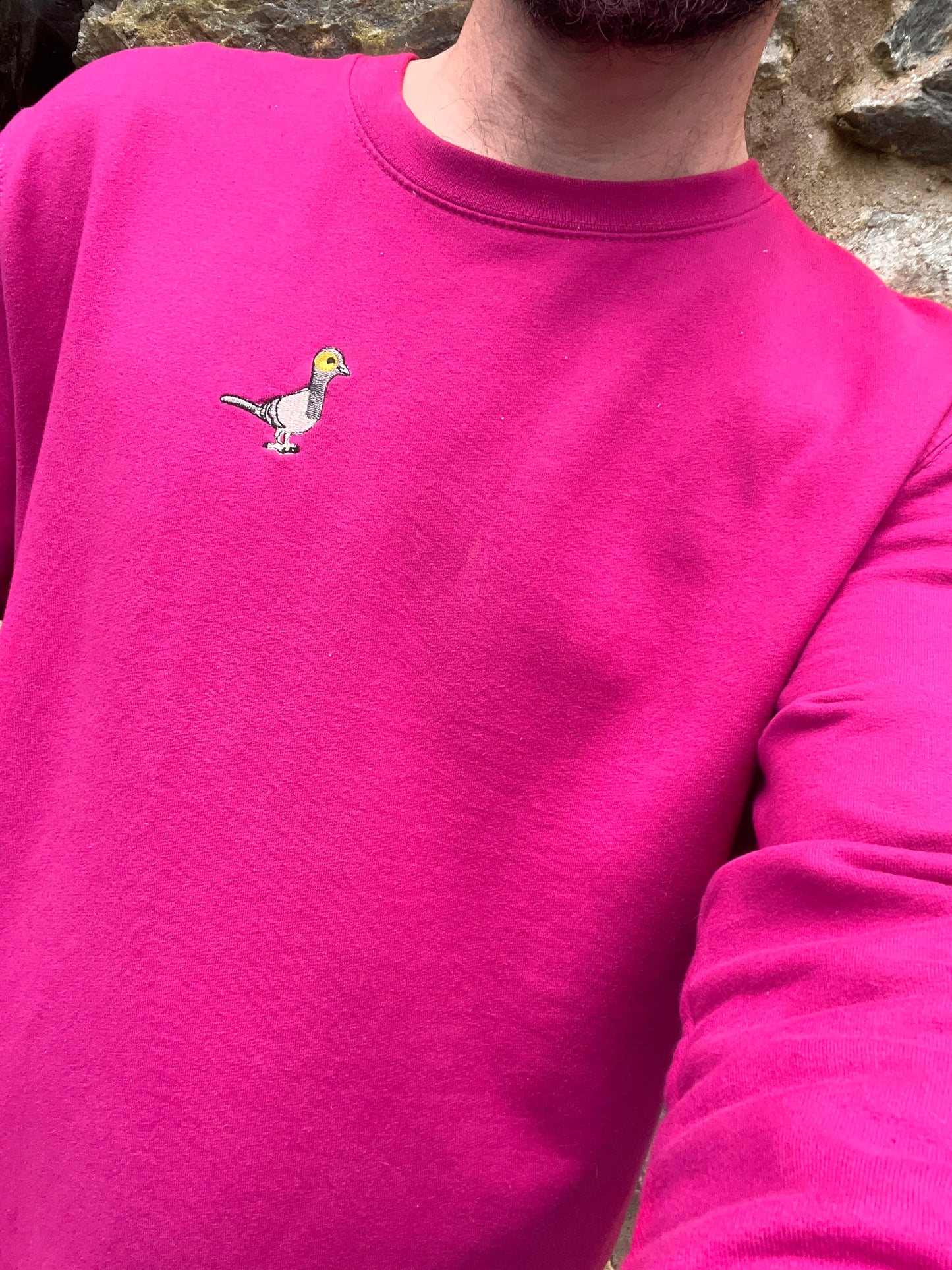 Embroidered Pigeon sweatshirt