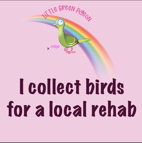 HARPERS FUND REHABILITATION PROGRAMME for pigeon carers in the UK - Registration