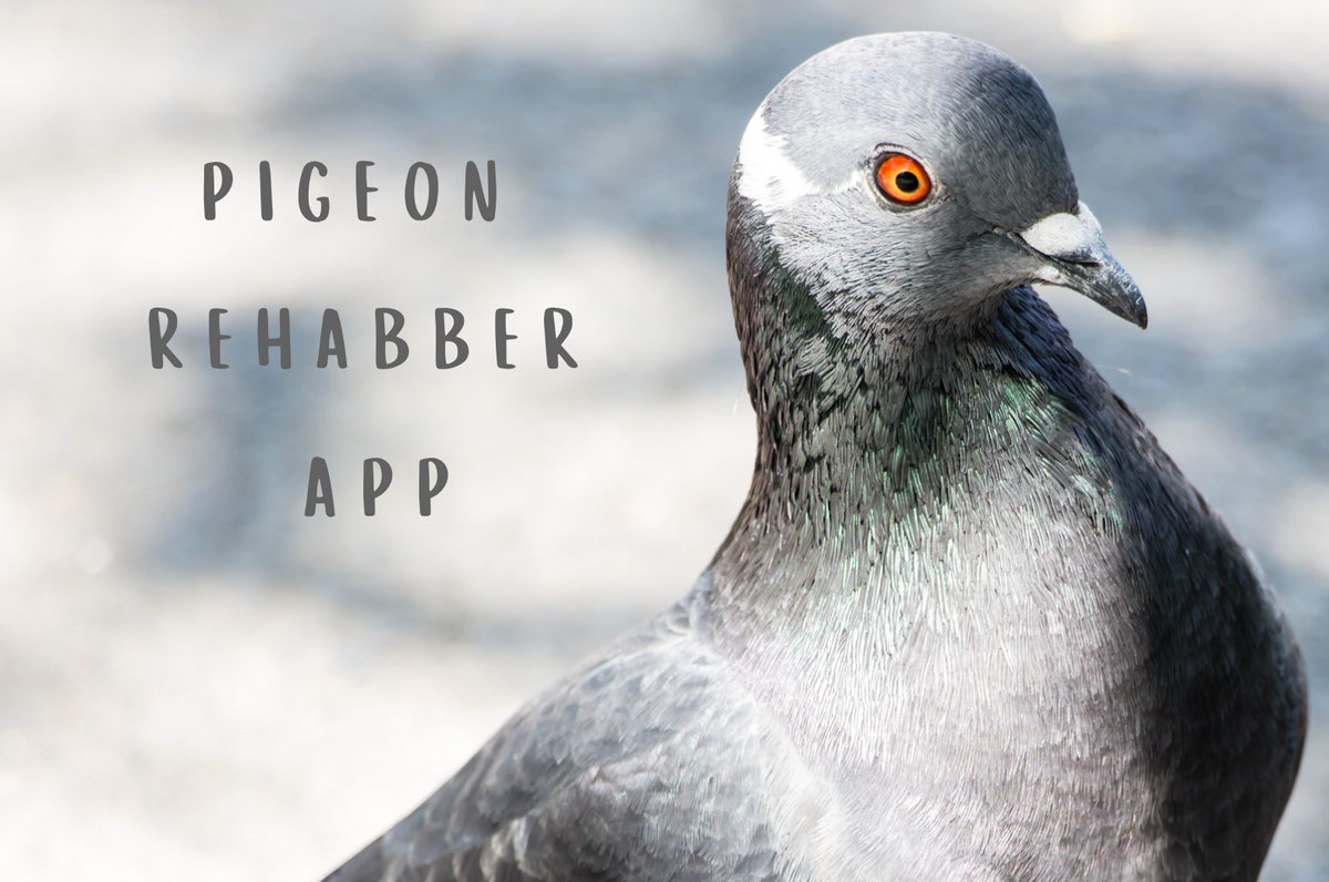 REGISTER FOR OUR MOBILE APP